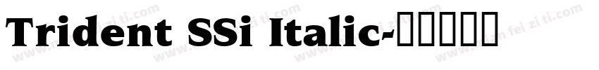 Trident SSi Italic字体转换